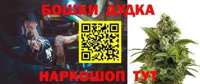 мяу мяу мука Будённовск