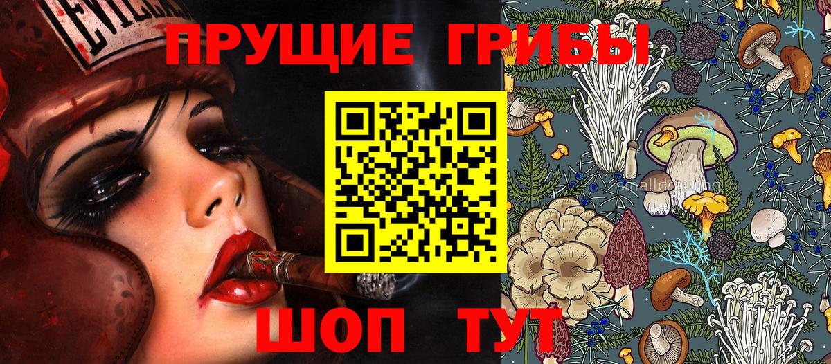 Саяногорск  Галлюциногенные грибы мухоморы  Псилоцибиновые грибы Psilocybine cubensis  Вход с VPN 